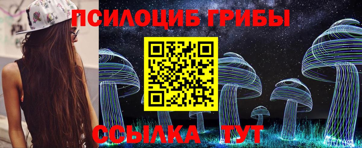 Псилоцибиновые грибы Psilocybe  Вход с VPN  Новороссийск  Галлюциногенные грибы Cubensis 