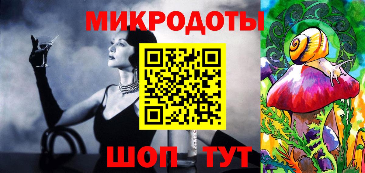 Псилоцибиновые грибы Psilocybine cubensis Новороссийск